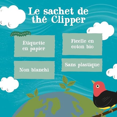 CLIPPER - Infusion Bio - Thym, Citron et Miel - 20 Sachets d'Infusion - 1 Paquet