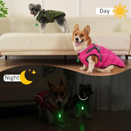 HezzLuv Manteaux d'hiver pour Chiens, Manteau Chien Imperméable, Manteau Chien avec Harnais, Bandes Réfléchissantes, Collier à LED, Vestes d'hiver pour Petits et Moyens Chiens (Vert, Taille XL)