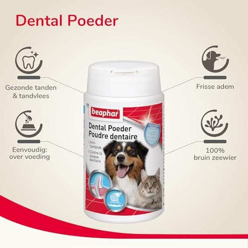 Beaphar - Poudre Dentaire pour Chien et Chat - Nettoyage des Dents sans brossage ni rinçage - Combat la Plaque Dentaire, la Formation de tartre et la Mauvaise haleine - 100% Naturelle - 75g