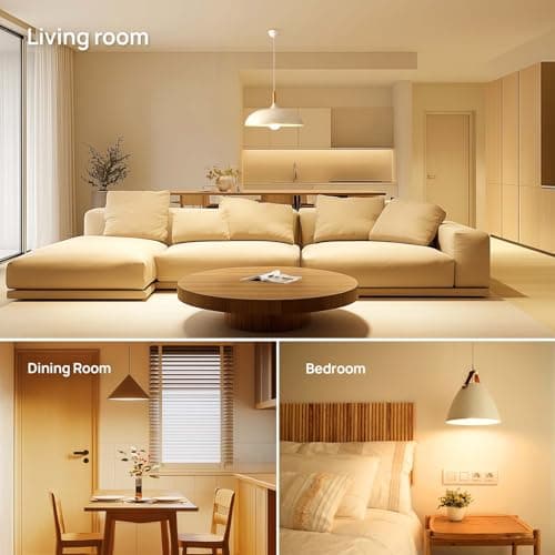 Linkind Ampoule LED E27 Blanc Chaud, 13W Equivalent 100W, 2700k Lumière Blanche Chaude 1521lm, Ampoule Standar A60 Gros Culot à Vis, No Dimmable, 220v-240v, Lot de 6