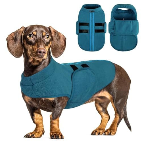 PUZAUKAL Pull pour Petit Chien,Pull-Overs pour Chien et Chat en Polaire Doux Veste Gilet Chien avec Harnais Pull Chaud pour Moyen Grand Chien Bleu Paon(S)