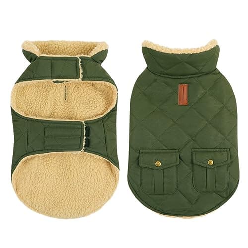 CITÉTOILE Manteau de Chien Coupe - Vent, Manteau Chien Fourré Polaire Epaiss, Manteau Veste d’Hiver Chien Chaud, Vêtement pour Chiens avec Trou de Corde de Traction, Vert, XS