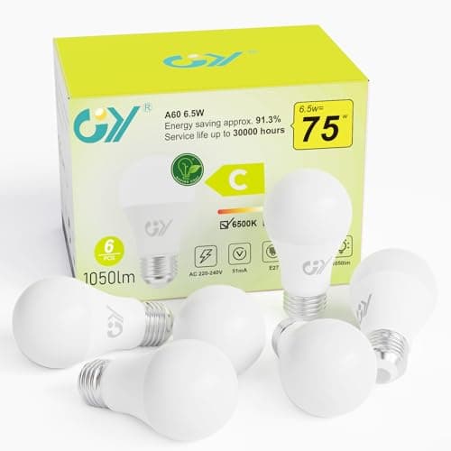 GY Ampoule LED E27 6.5W (équivalent 75W), 6500K Blanc Froid 1050 lumens, A60 Ampoules E27 LED Efficacité Energétique, Dépolie, Non-Dimmable, 6 Unité (Lot de 1)