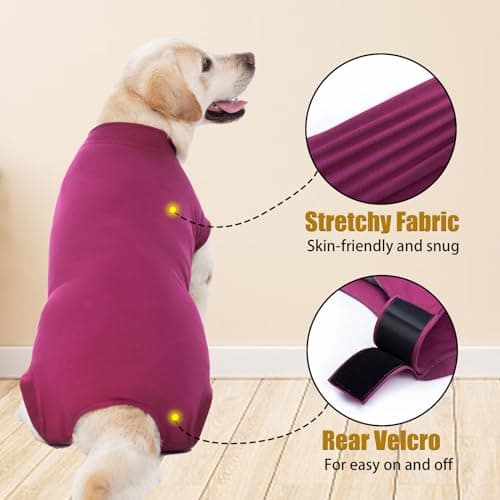 Axcimond Combinaison de Recuperation Chien Body Chien Post Operatoire Protection Chien Body Chirurgical Chien Body pour Chien Femelle Male après Stérilisation Alternative au Collerette Chien Operation