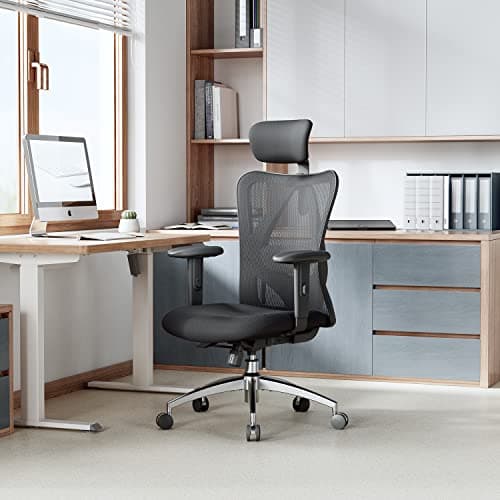 SIHOO Chaise de Bureau, Siege de Bureau Ergonomique avec Support Lombaire et accoudoir réglable, Fauteuil de Bureau d'une capacité maximale de 150 kg