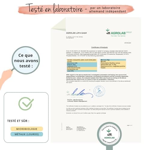 Cordyceps sinensis CS-4 | 6500 mg (10:1) | 4 MOIS | 40% Polysaccharides | SANS ADDITIFS | Adaptogène | 120 Gelules | VEGAN | Vegavero®