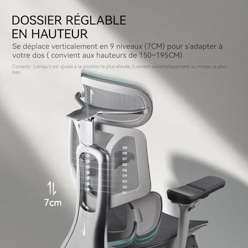 Hbada E3 Pro Chaise de Bureau Ergonomique, Fauteuil de Bureau avec Repose Pieds - avec Support Lombaire Dynamique à 3 Zones, Appui-tête Réglable en 4D, Accoudoirs Réglables en 6D, Gris
