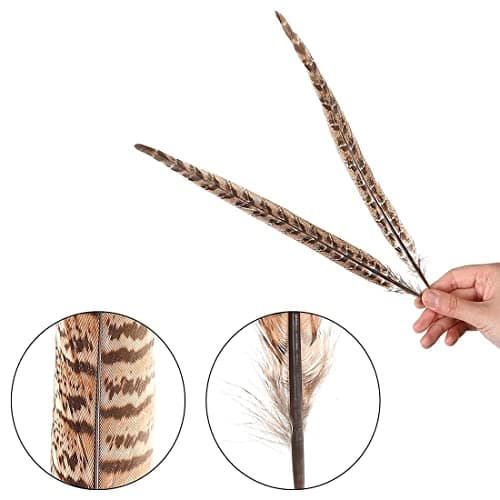 Zeayebsr 1 ensemble de 20 plumes de faisan pour l'artisanat et les décorations de chapeaux montrent les loisirs créatifs (25-30cm)