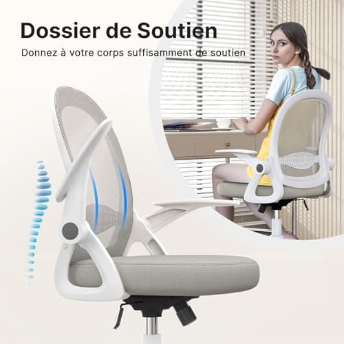 naspaluro Chaise de Bureau avec Accoudoir Relevable, Fauteuil de Bureau avec Soutien Lombaire, Siège Bureau avec Dossier Moyen de 45 cm, Hauteur d'Assise de 43 à 53 cm pour Maison/Bureau, Gris