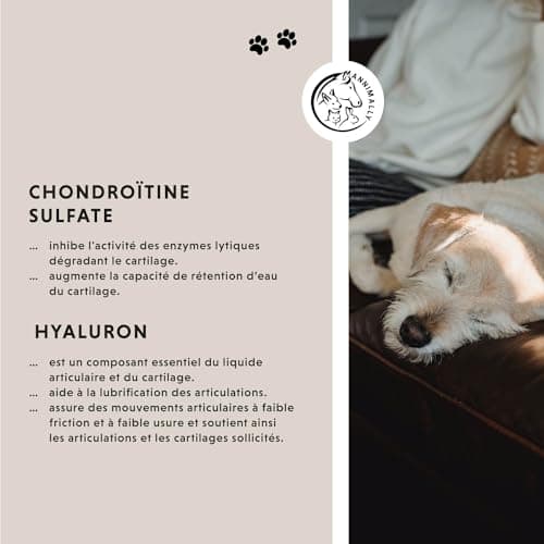 Complément Articulation pour Chien - Anti arthrose Chien Senior - avec glucosamine chondroïtine Chien - 120 comprimés pour Articulation Chien et - Anti inflammatoire Chien