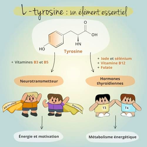 L-Tyrosine Plus 1200 mg | THYROIDE* | Avec Iode, Selenium et Vitamine B | Énergie + Fatigue Mentale | 180 Gélules | VEGAN et SANS ADDITIFS | Vegavero®