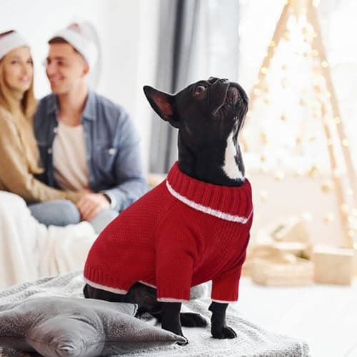 Hjyokuso Pull Chien, Pull pour Chien Petite Taille Moyenne Grande Taille, Pull-Overs pour Chiens Chaud d'hiver, Pull pour Chat à Col Roulé, Vetement Chien, Pull Noel Chien, Manteau pour Chien - M