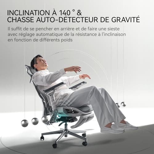 Hbada E3 Pro Chaise de Bureau Ergonomique, Fauteuil de Bureau avec Repose Pieds - avec Support Lombaire Dynamique à 3 Zones, Appui-tête Réglable en 4D, Accoudoirs Réglables en 6D, Gris