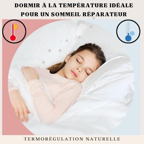Taie d'oreiller 100% Soie Naturelle de mûrier 22 Momme Qualité supérieure Grade 6A sans Produit Chimique,Bio- Peau Sensible,Cheveux Afro,Bouclés,Gras,Antichute Cadeau (Rose, 40x60cm)