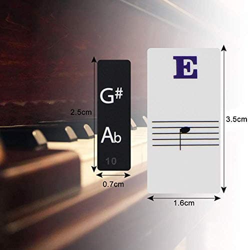 Sparta's Store autocollant piano,Autocollants Amovibles de Piano,Autocollants de Clavier de Piano,Autocollants pour piano,partition piano debutant,pour 37/49/54/61/88 .(Transparent)