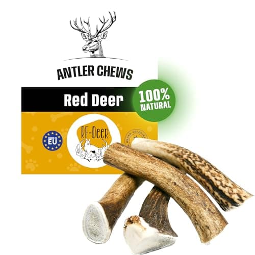 RF - Deer Bois de Cerf élaphe M (Lot de 5), Hard, 100% Naturel Bâtonnets Jouets à mâcher naturels pour Chien, Mâcher des os pour Le Plaisir et Les Soins dentaires, favorisant l'hygiène Dentaire