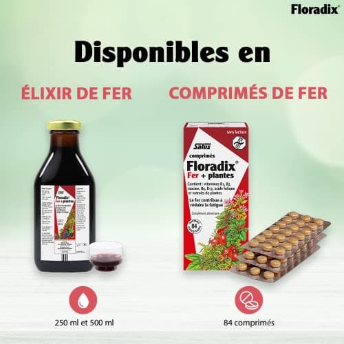 Salus Floradix Fer + Plantes - Formule Liquide Riche en Fer - Enrichi en Vitamine C pour une Meilleure Absorption - 500 ml