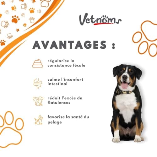 Vetnoms Probiotique Chien en Poudre - Complement Alimentaire Chien avec Levure de Bière Chien pour Un Usage Régulier. Soulage la Diarrhée chez Le Chien, la Dermatite chez Le Chien.
