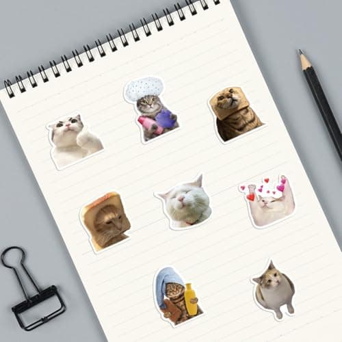 BHIPKOT Cat Meme autocollant pour ordinateur portable(100 PCS) cadeau pour enfants adolescents adultes garçons Meme Stickers vinyle imperméable pour scrapbook skateboard voiture bagages