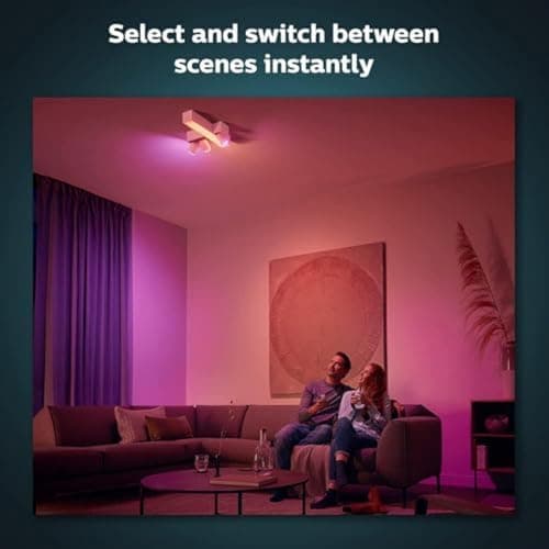 Philips Hue Dim Switch Télécommete nomade variateur de lumière V2