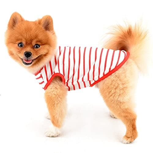 PAIDEFUL T-shirt en coton doux à rayures pour petit chien britannique pour animal de compagnie - T-shirt d'été pour chiot, chihuahua, yorkshire, yorkshire, débardeur respirant