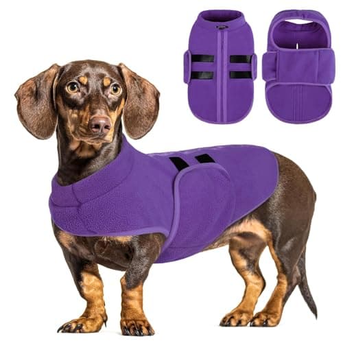 PUZAUKAL Pull pour Petit Chien,Pull-Overs pour Chien et Chat en Polaire Doux Veste Gilet Chien avec Harnais Pull Chaud pour Moyen Grand Chien Violet(L)
