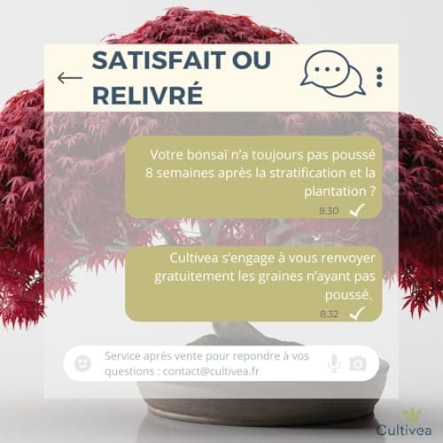 CULTIVEA® Mini Kit Prêt à Pousser Bonsaï – Graines Françaises 100% Écologiques - Jardinez et décorez - Idée Cadeau (Red Mapple, Chinese Cercis, Albizia, Cornus Kousa, Norway Spruce) - Made in France