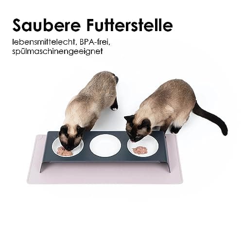 LucyBalu® Tapis de gamelle pour Chat | Tapis pour gamelle de Chat | Tapis d'alimentation en Silicone antidérapant | Set de Table rectangulaire pour Chat | Tapis de Bol pour Chat | XL Rose