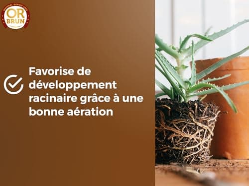 Or Brun Terreau Rempotage Universel - 6L - pour Toutes Les Plantes en Pots - Améliore la Croissance OBRTREM6U