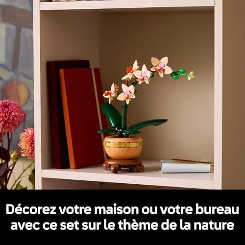LEGO Botanique L’orchidée Miniature - Fleurs artificielles pour Adulte - Plante d'intérieur avec Pot Style Terracotta - Décoration intérieure - Idée Cadeau pour la St Valentin, Femme ou Homme 10343