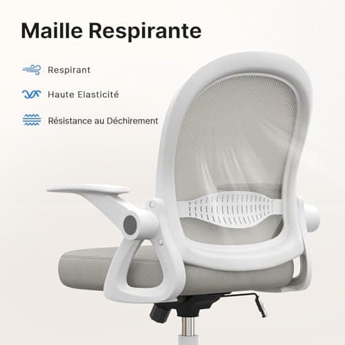 naspaluro Chaise de Bureau avec Accoudoir Relevable, Fauteuil de Bureau avec Soutien Lombaire, Siège Bureau avec Dossier Moyen de 45 cm, Hauteur d'Assise de 43 à 53 cm pour Maison/Bureau, Gris