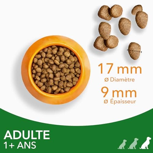 Iams Vitality - Croquettes pour Chiens Adultes Grande Race - Favorise Santé et Vitalité