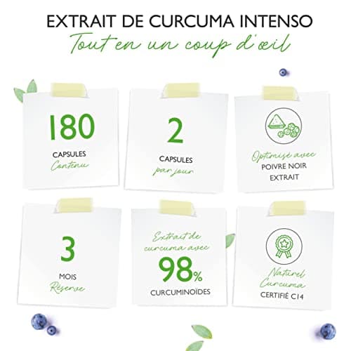 Curcuma - 180 gélules - Premium : avec 98% d'extrait - la teneur en curcumine par portion journalière correspond à 17.150 mg de curcuma - Vegan