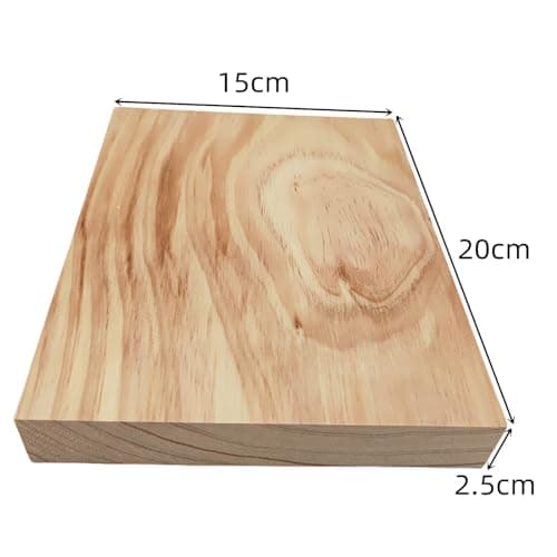 Lot de 4 blocs de bois brut pour travaux manuels, 20 x 15 x 2,5 cm, planches de bois rectangulaires vierges pour sculpture, peinture et gravure sur bois