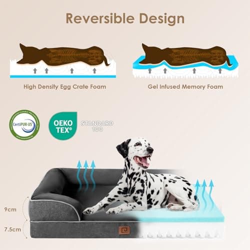 EHEYCIGA Panier Chien Grande Taille XL Orthopedique, Memoire de Forme Lit pour Chien Imperméable, Canapé pour Chien Dehoussable Lavable