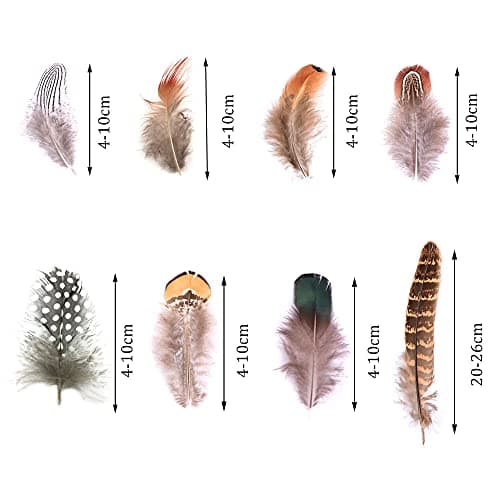 Dtoterul Plume Artificielle 220 Pièces Plumes de Faisan Plumes Artisanales Plumes De Bricolage Plumes Artisanat Plumes Plumes de Poulet Multicolores Marron Plumes Feathers pour Artisanat
