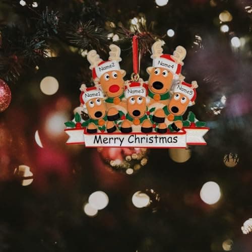 WERWAES Decoration Noel Sapin Personnalisable Boule de Noel Personnalisée 2024 Decorations Noel Famille 2,3,4,5,6,7,8 Idee Cadeau Noel