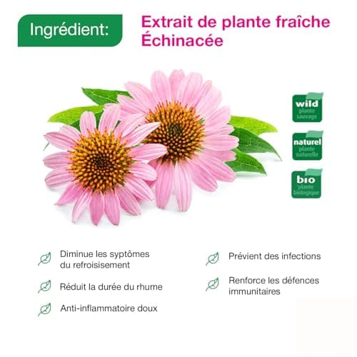 A.VOGEL Immunité - Echinaforce famille – Complément alimentaire – Améliore la résistance de l’organisme - Extrait de plante fraîche d’echinacea – Actifs végétaux bio – Immunité - 400 comprimés