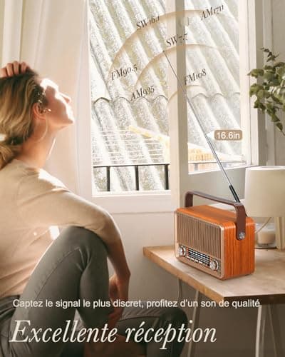 PRUNUS J-120 Poste Radio Vintage, AM/FM/SW Radio Portable avec Batterie Rechargeable 1800mAh, ou Alimentation Secteur, Radio Bluetooth, Radio Vintage Retro Prend en Charge la Fonction USB/TF/AUX