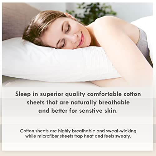 Pizuna Coton Peigné Set de 2 Taies d'oreiller 65x65 cm Sauge, 100% Coton Longue Tige 400 Fils Armure Satin Taies d'oreiller Douces 65x65 en Coton Taies d'oreiller (Sauge 2 Pièces)