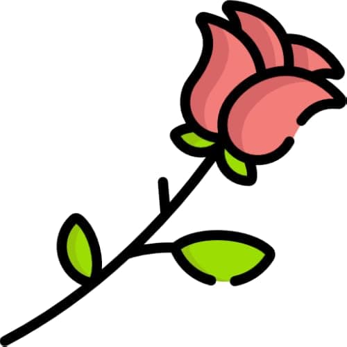 Lovely Flower