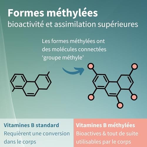 Vitamines du Complexe B Bioactives, 180 Petits Comprimés Végétalien à Haute Absorption avec Folate & Biotine. Énergie et Vitalité, Libération Prolongée