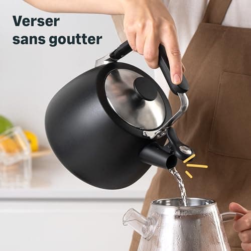 SILBERTHAL Bouilloire à induction 2,8l - Bouilloire en acier inoxydable - Bouilloire pour le camping - Bouilloire à flûte noire - Bouilloire sifflet Nouvelle version 2024