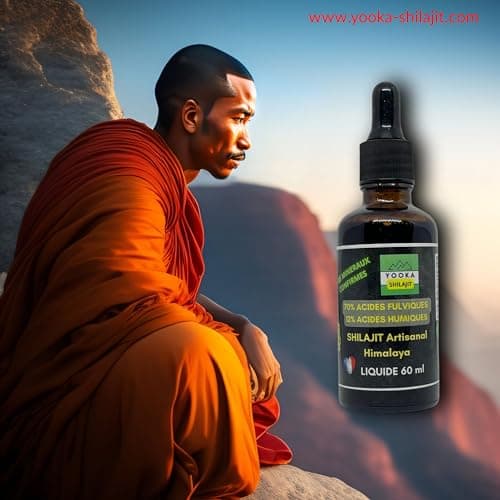 YOOKA Shilajit naturel ARTISANAL LIQUIDE 60ML OR pure Himalaya. 70% ACIDE FULVIQUE, +85 minéraux, 12% acide humique. Séchage soleil 60j, purifiée 40 fois. CERTIFICATION ALIMENTAIRE FRANCE