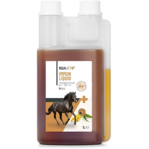 ReaVET Immun Liquide pour Chevaux 1L - Mélange d'herbes 100% Naturelles, jus immunitaire Cheval pour Soutenir Le système immunitaire, renforcer Les défenses de l'organisme