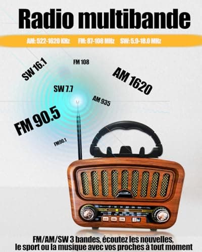Poste Radio Portable avec Haut-Parleur Bluetooth, AM/FM/SW Petite Radio Vintage avec Haut-Parleur 5W et Bluetooth 5.0, Transistor Radio a Pile avec Fonction USB/TF/AUX (Or)