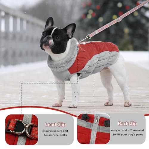 Hjumarayan Manteau Chien - Manteau Chien avec Harnais Réfléchissant Manteaux d'hiver pour Chiens Manteau Chien Imperméable, Manteau Chien Petite Taille Manteau Bouledogue Francais - Rouge M