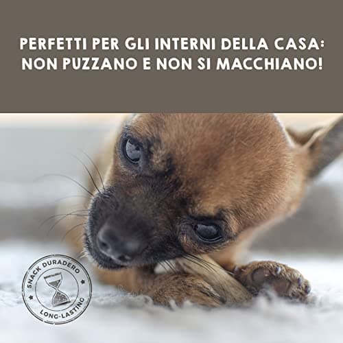 MAIKAI Lot de 2 Bois de Cerf Tranché pour Chien Taille M - Os à Mâcher pour Chien jusqu'à 20 kg - Corne de Cerf Résistant - Favorise l'Higiéne Dentaire et l'Haleine - Jouet Naturel pour Chien