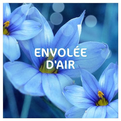 Dash 2in1 Lessive Liquide 102 Lavages, Envolée D’Air, Avec une Touche d’Huiles Essentielles et de Lenor, Fabriquée en France