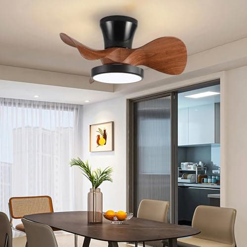 Noir Ventilateur Plafond Avec Lumiere Petit Chambre Memoire Dimmable Lustre Ventilateur De Plafond Et Telecommande App Réversible Silencieux Dc Ventilo Plafond Avec Lumière Led Timer Lounge
